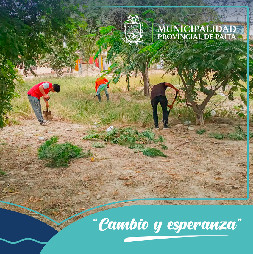 Municipalidad de Paita continúa jornadas de eliminación de maleza