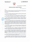 Vista preliminar de documento Resolución Directorial N°046-2021-DIRESA