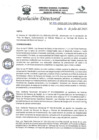 Vista preliminar de documento R.D.N°333-2023-HGJ-DE