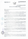 Vista preliminar de documento Resolución Directorial N°076-2021-DIRESA