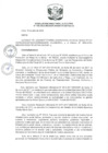 Vista preliminar de documento RDE N 155-2023