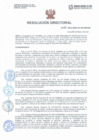 Vista preliminar de documento Resolución Directorial N°088-2021-DIRESA