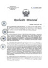 Vista preliminar de documento RD 105-2023-SA-DG-INR