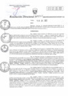 Vista preliminar de documento RD N°0067