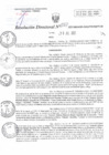 Vista preliminar de documento RD N°0068