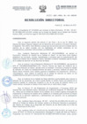 Vista preliminar de documento Resolución Directorial N°093-2021-DIRESA