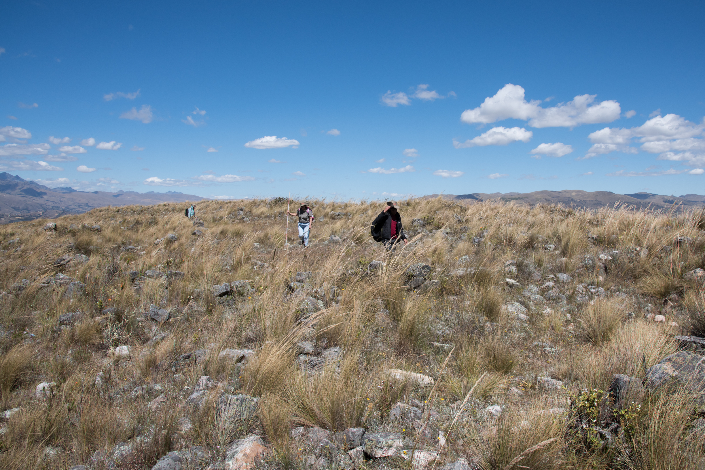 Servidores de la Unidad Ejecutora realizando el registro del sitio arqueológico