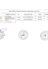 Vista preliminar de documento Resultado Final