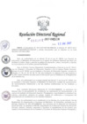 Vista preliminar de documento RDR-340-2017-DRELM9hFOl