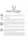Vista preliminar de documento RDR-341-2017-DRELM2nq5Y
