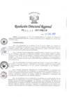 Vista preliminar de documento RDR-344-2017-DRELMMkJ28