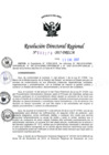 Vista preliminar de documento RDR-376-2017-DRELMMW2Vb