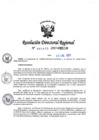 Vista preliminar de documento RDR-653-2017-DRELMVblYG