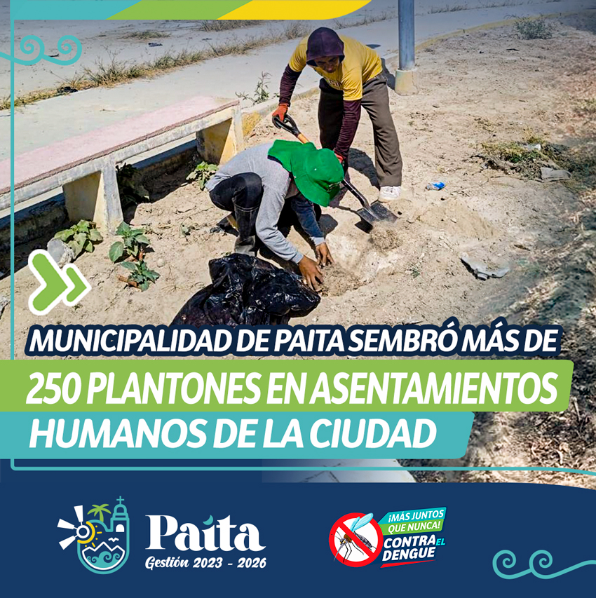 Municipalidad de Paita sembró más de 250 plantones