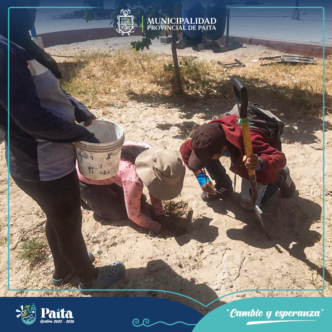 Municipalidad de Paita sembró más de 250 plantones