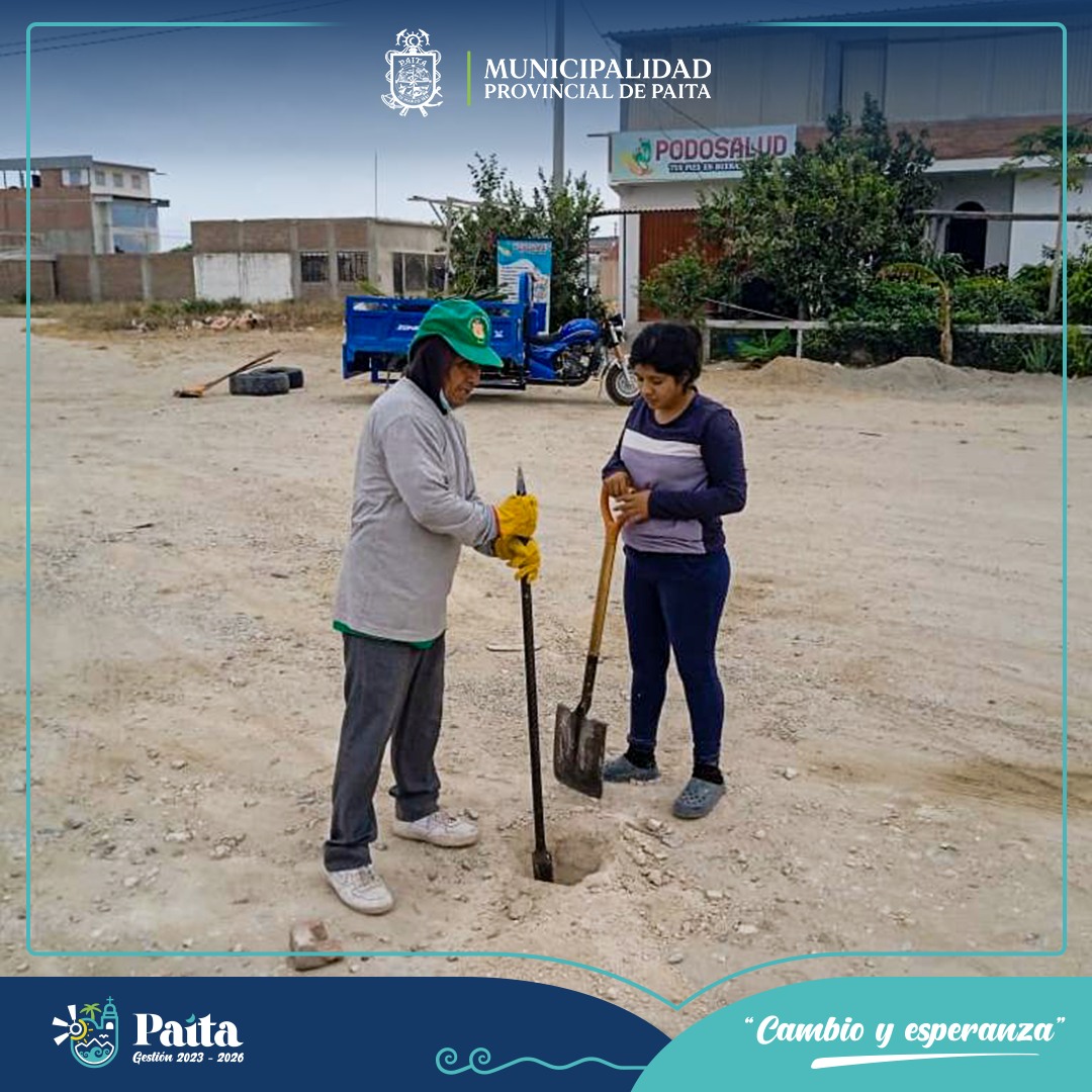 Municipalidad de Paita sembró más de 250 plantones