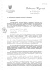 Vista preliminar de documento SE ACUERDA DECLARESE en reestructuración orgánica y reorganización administrativa al Gobierno Regional de Moquegua, hasta el 31 de marzo del año en curso.