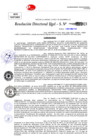 Vista preliminar de documento Resolucion Directoral N° 003755-2023