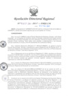 Vista preliminar de documento RDR-724-2017-DRELMDu4pe