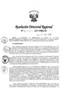 Vista preliminar de documento RDR-1037-2017-DRELMMxw8o