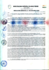 Vista preliminar de documento RESOLUCION GERENCIAL Nº 048-2023-MDAV-GGM