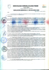 Vista preliminar de documento RESOLUCION GERENCIAL Nº 049-2023-MDAV-GGM