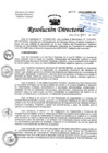 Vista preliminar de documento R.D N° 224.2023.HNHU.DG+GUIA TECNICA DE PROCEDIMIENTO OPERATIVO ESTANDAR
