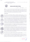 Vista preliminar de documento RD349.pdf16HdN
