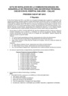 Vista preliminar de documento actas.pdf7yyAG