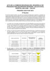 Vista preliminar de documento final.pdfwRQFP