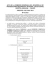 Vista preliminar de documento acta4.pdf1xM9g