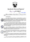 Vista preliminar de documento RDR-1276-2017-DRELM70z1k