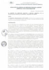 Vista preliminar de documento RGSPyGA-0215-2023-MDI