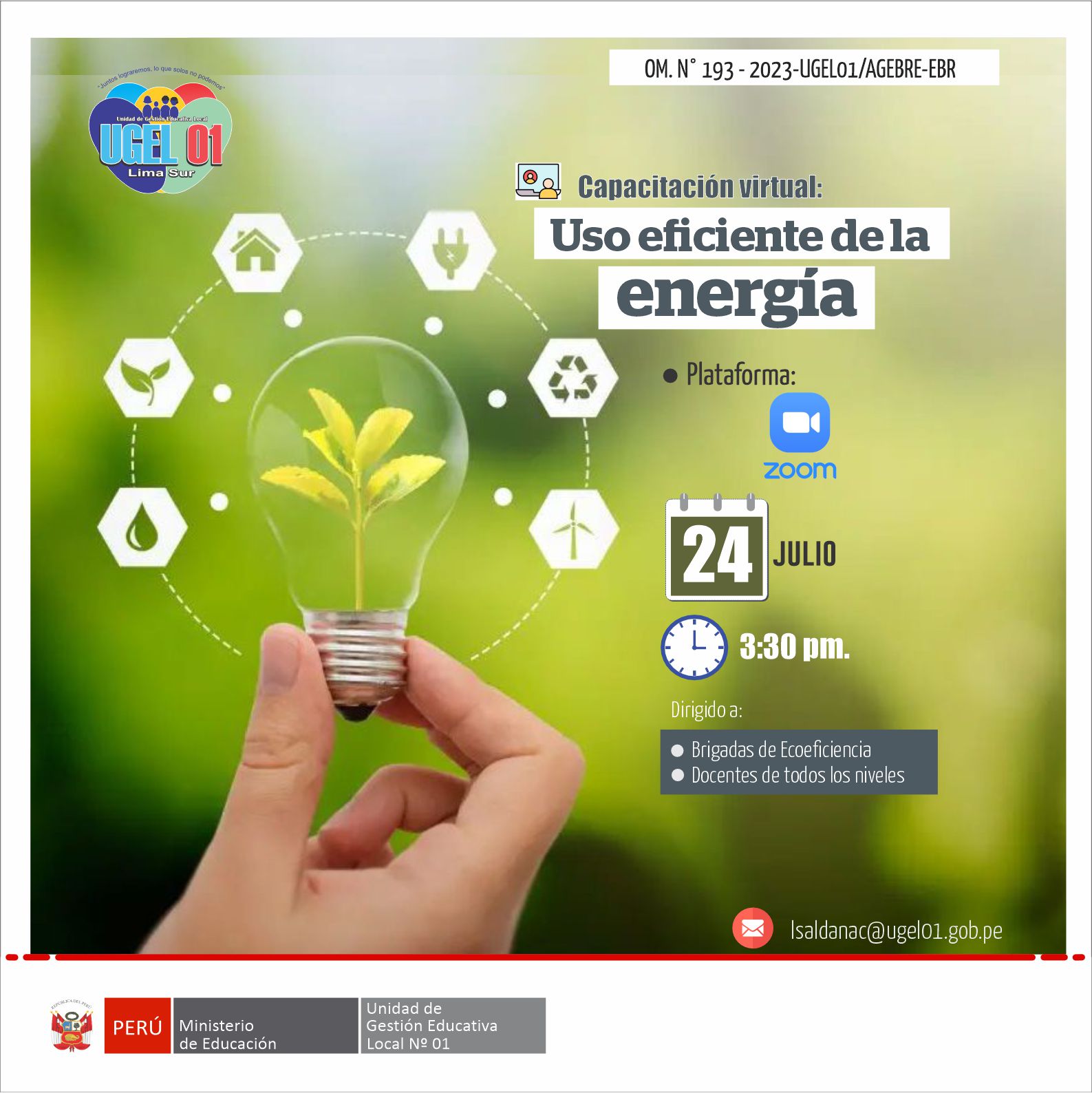 Capacitación virtual: sobre uso eficiente de la energía