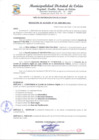 Vista preliminar de documento Resolución de Alcaldia de conformación de Comite de Gobierno Digital