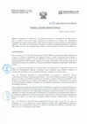 Vista preliminar de documento Resolución Directorial N°177-2021-DIRESA