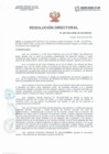 Vista preliminar de documento Resolución Directorial N°185-2021-DIRESA