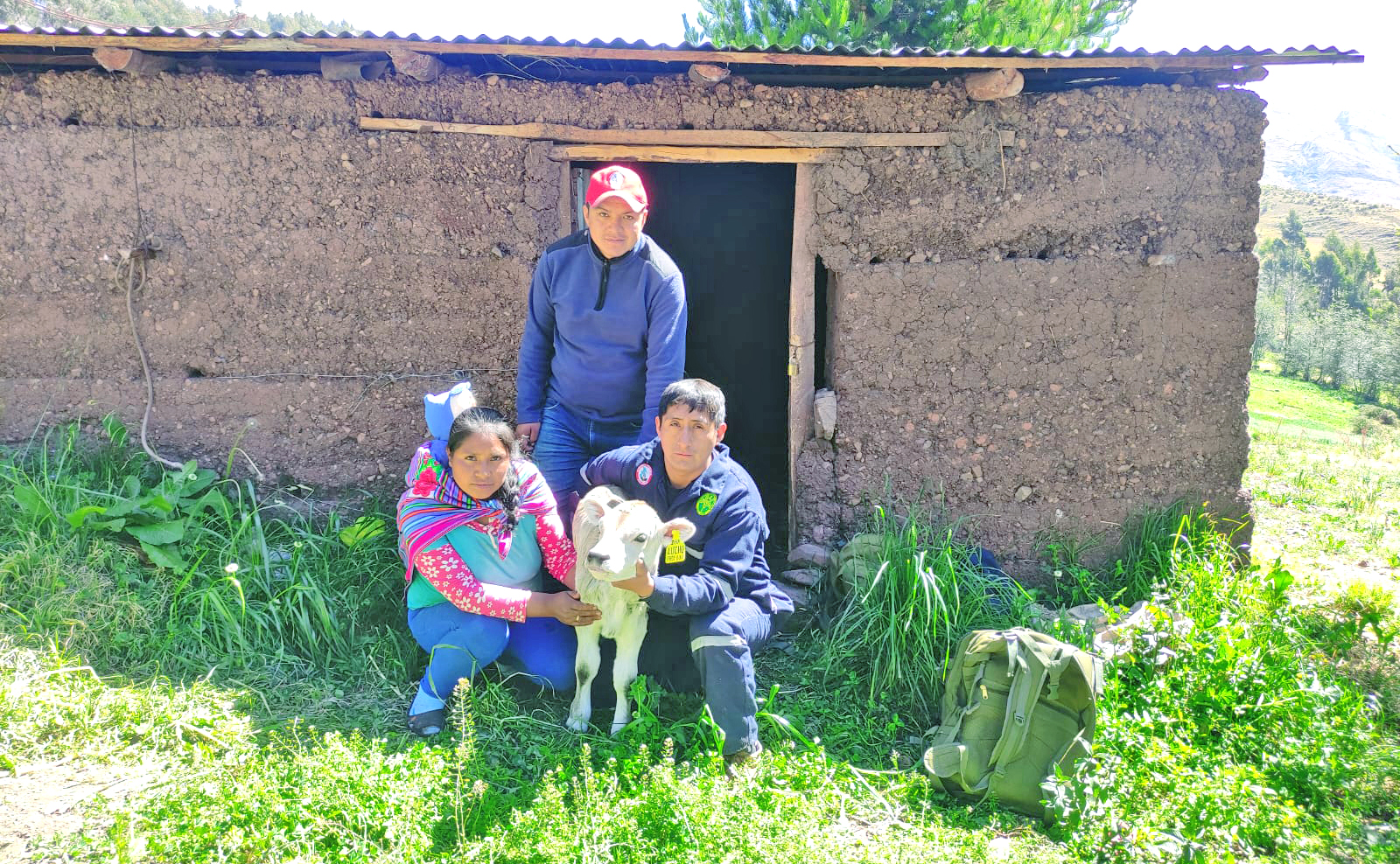 Huanta y La Mar registran 40 becerros nacidos por inseminación artificial