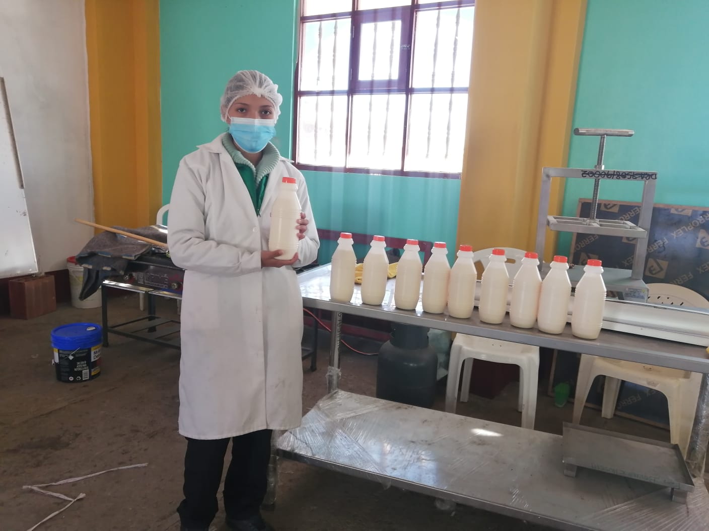 Proyecto Bovino Chuschi elabora queso fresco en Bambamarca – Chuschi