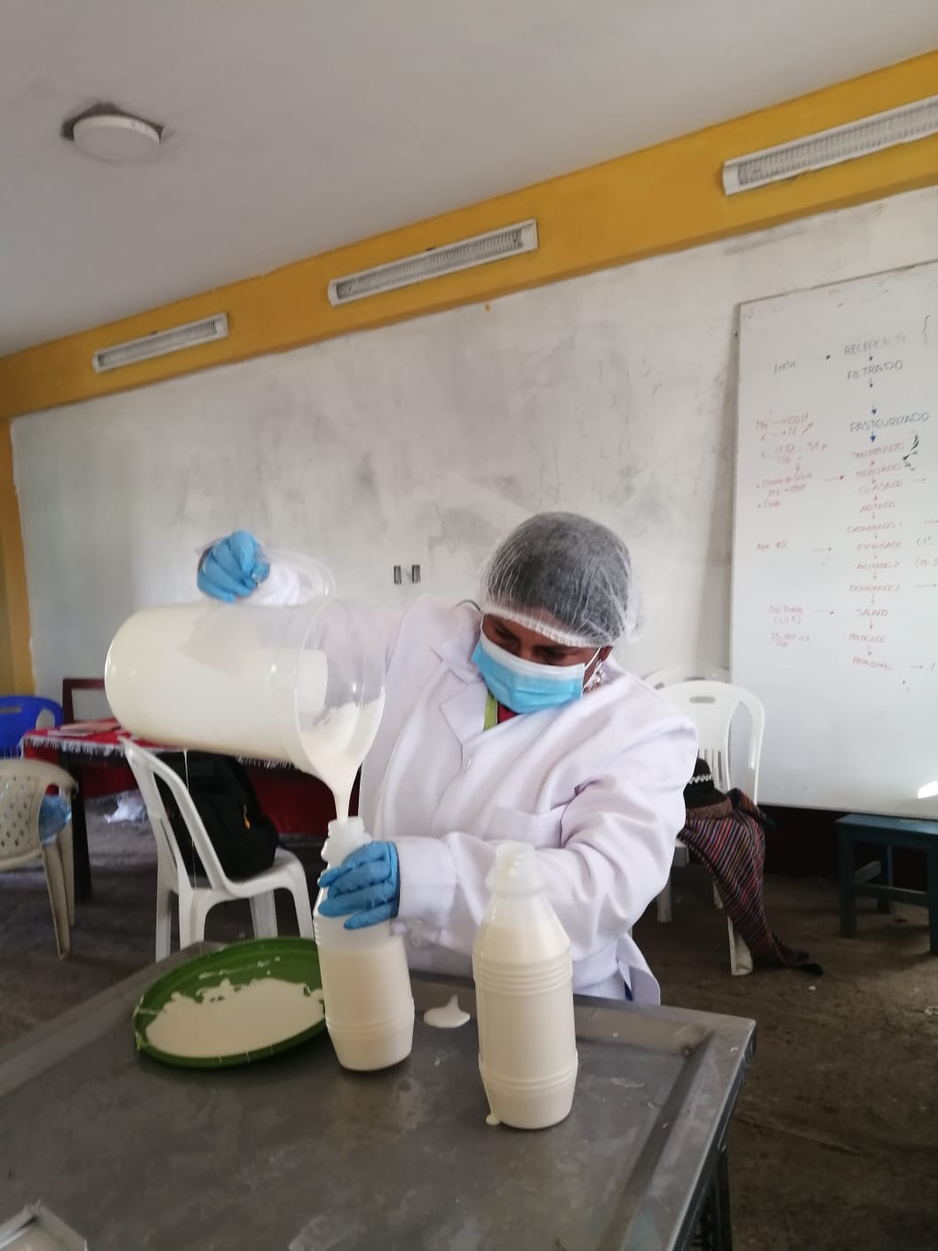 Proyecto Bovino Chuschi elabora queso fresco en Bambamarca – Chuschi