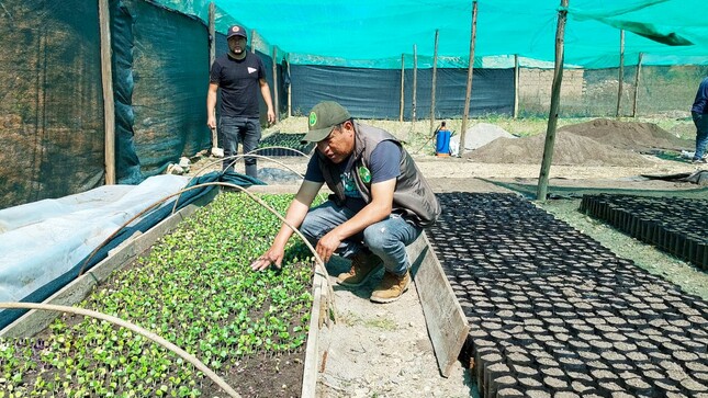 Proyecto Forestal Fajardo impulsa la recuperación de ecosistemas forestales 