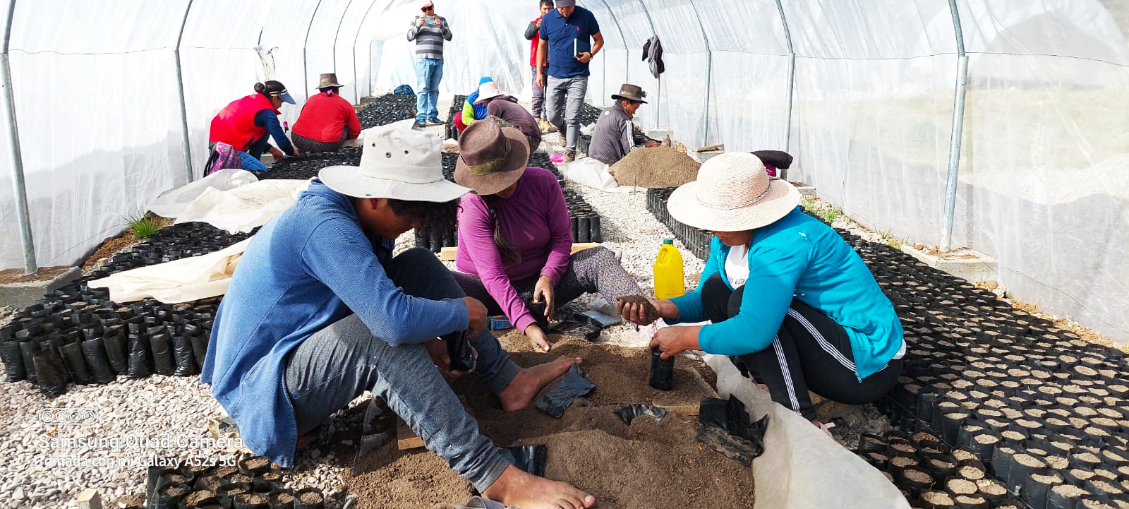 Proyecto Forestal Fajardo impulsa la recuperación de ecosistemas forestales