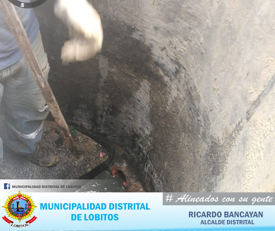 Archivo JPG de La Persistencia Rinde Frutos Positivos Que Favorecen A La Población