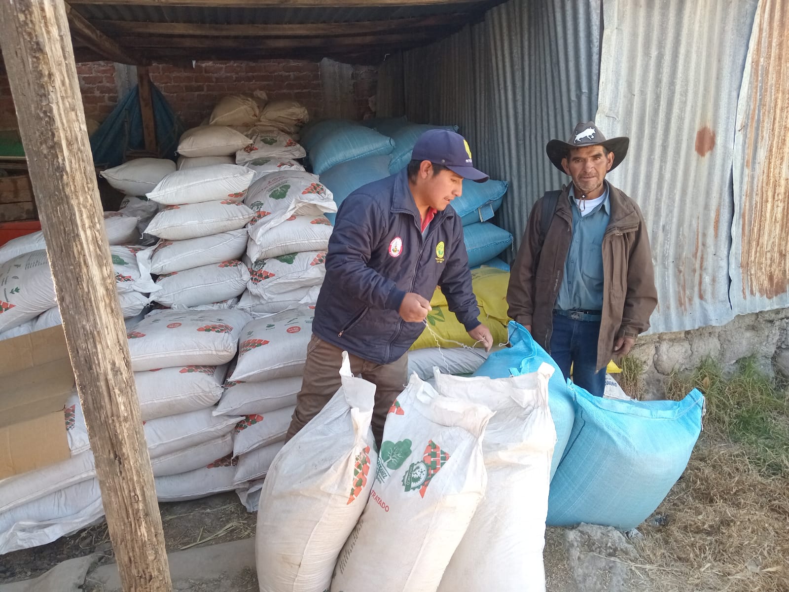 Proyecto Ovinos entrega sacos de abono y semillas a beneficiarios de Pallcca