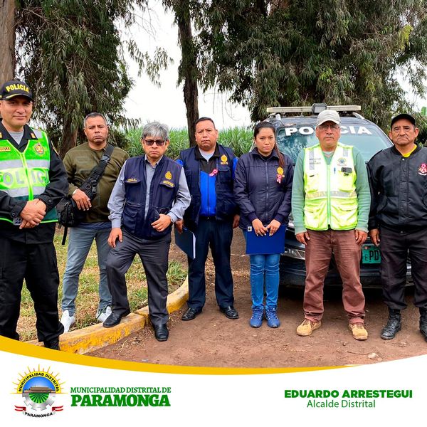 Imagen1