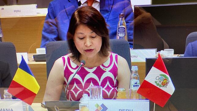 Canciller Ana Cecilia Gervasi