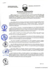 Vista preliminar de documento RA N°029-2023