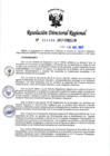 Vista preliminar de documento RDR-5466-2017-DRELMS1GJ8
