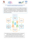 Vista preliminar de documento Lista de ítems a tener en cuenta para garantizar la aplicación del enfoque centrado en la victima dirigido a jueces/zas penales