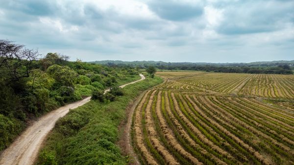 Gracias a convenio con Municipalidad: SE FORTALECE IVP PARA MEJORAR INFRAESTRUCTURA VIAL